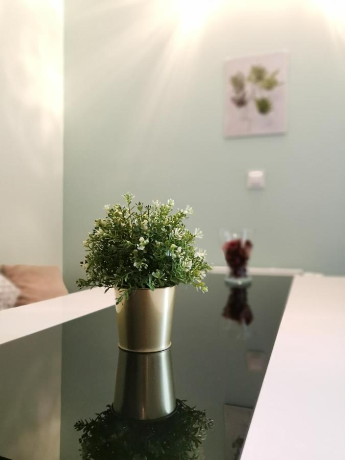 Maglonia Apartment فروتسواف المظهر الخارجي الصورة
